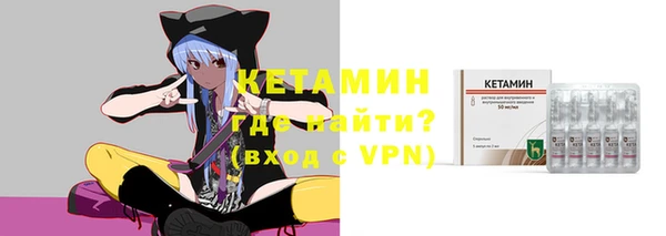прущие грибы Богданович